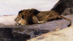 Een Rustende Leeuw; Ruhender Lowe
