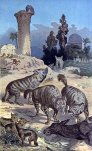 Hyena