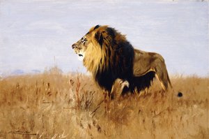 De Leeuw die op Prooi Wacht door Wilhelm Kuhnert