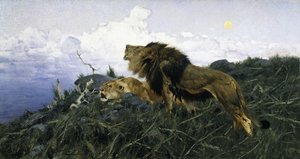 Leeuwen bij schemering