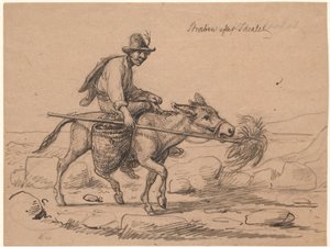Streven naar het ideaal. Italiaanse ezelrijder drijft het dier voort door een bos hooi op een stok voor zijn neus te houden