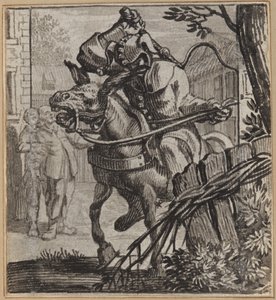 De boze dwaas door Wilhelm Stettler