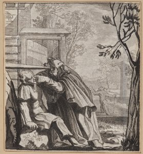 De kritische dwaas door Wilhelm Stettler