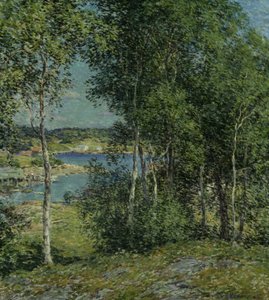 Een Familie van Berken, 1907