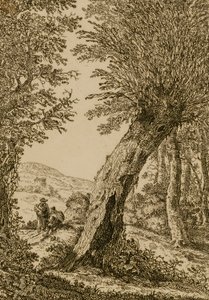 Landschap met wilg door Willem Bemmel