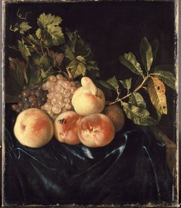 Stilleven met perziken en druiven door Willem Frederik van Royen