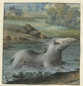 Tapir in het water door Willem Hendrik Wilhelmus van Royen