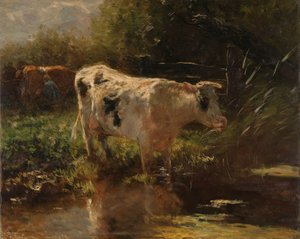Koe aan de slootkant
