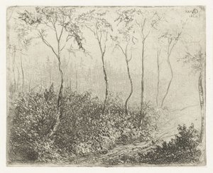 Boslandschap door Willem Matthias Jan van Dielen