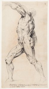 Anatomische studie (écorché)