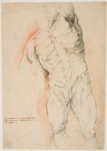 Anatomische studie (écorché). Vooraanzicht van staande gevilde man, zijn linkerarm opgeheven