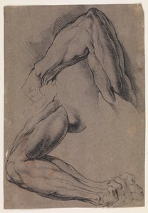 Anatomische studie (écorché). Twee studies van een gevilde linkerarm van een man