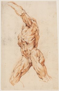 Anatomische studie. Wandelende gevilde man naar links gedraaid