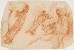 Laocoon. Studies van Laocoon