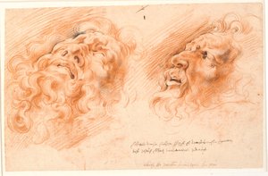 Laocoon. Twee studies van Laocoons gezicht, één gezien van voren van onderen, en de andere in profiel naar links.
