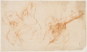 Twee anatomische studies (écorchés). Gevild torso van een man, zijn linkerarm opgeheven door Willem Panneels