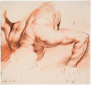 Worstelaars. Antieke beeldengroep. Onderste figuur