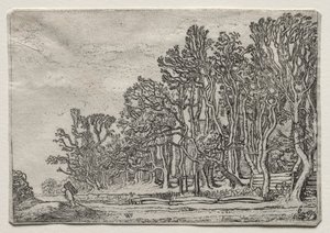 De Set van de Landschappen: Twee Plank-Heggen door Willem Pietersz Buytewech