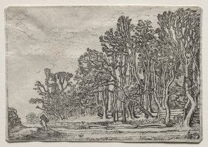 De set van de landschappen: Twee plank-heggen, 1616