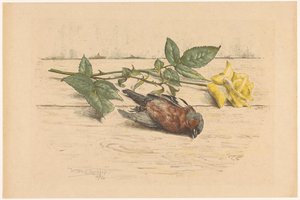 Dode vink liggend naast een roos