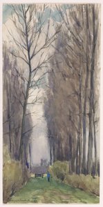 Laan met hoge bomen