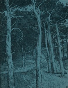 Bos, ca. 1912