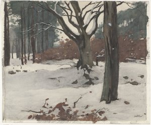 Bomen in de sneeuw