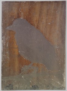 De kraai Ina door Willem Arnoldus Witsen