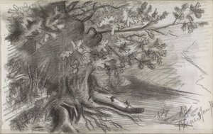 Landschap met een grote boom in Rhenen door Willem Arnoldus Witsen