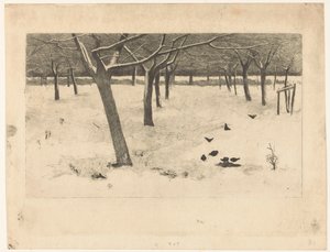 Besneeuwde boomgaard met vogels