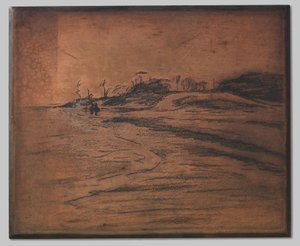 Valkeveen aan de Zuiderzee door Willem Arnoldus Witsen
