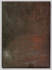 Vissen in een aquarium door Willem Arnoldus Witsen