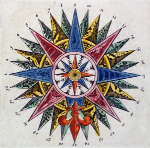 Roos van de wind (detail), 