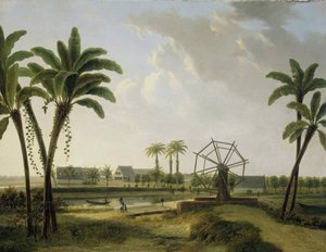 Gezicht op de Koffieplantage Marienbosch in Suriname