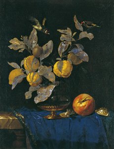 Stilleven met Fruit