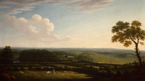 Uitgestrekt bebost landschap met een verre blik op een stad