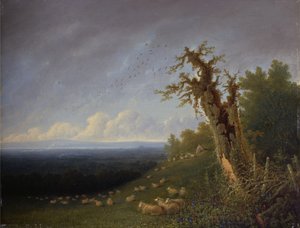 Herderjongen op een heuvel