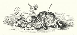 De dood van de wolf
