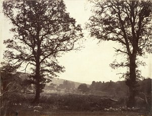 Landschap met iepen, Ashdown, Groot-Brittannië door William 2nd Earl of Craven