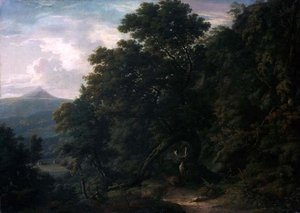 Uitzicht op Powerscourt Demesne door William Ashford