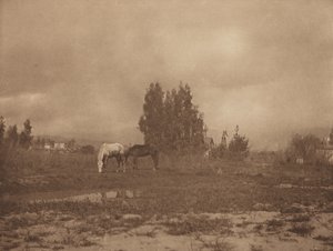 Pasadena Landschap