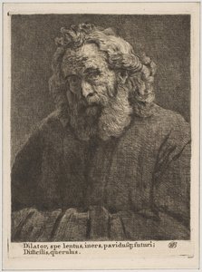 Oude Man met een Lange Baard