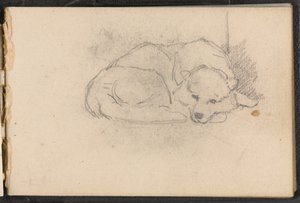 Schets van een slapende hond door William Barnes Wollen