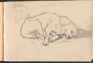 Schets van een slapende hond door William Barnes Wollen