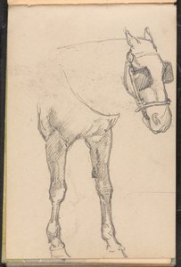 Schets van een paard met oogkleppen door William Barnes Wollen