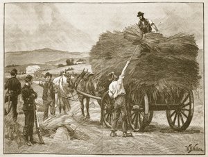 Het redden van de gewassen van Kapitein Boycott, illustratie uit 