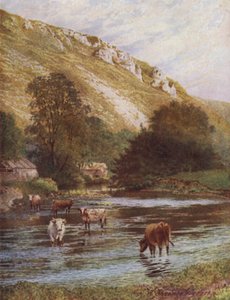 Aan de Wye, Upper Dale Farm, Monsal Dale (kleur litho)