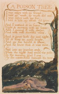 Songs of Innocence and of Experience, Plaat 41, "A Poison Tree" (Bentley 49)
