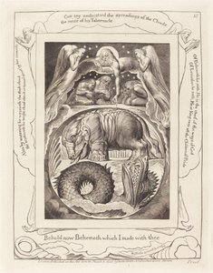 Behemoth en Leviathan door William Blake