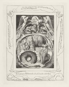 Zie nu Behemoth die ik met u maakte door William Blake